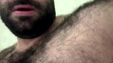 bearplay12 online show from November 14, 2025, 11:46 pm