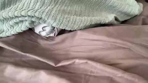 Snapshot of beaumec111 chatting on March 17, 2026, 3:48 pm beaumec111 online show from March 17, 2026, 3:48 pm