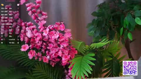 Polly  online show from May 1, 2026, 9:47 am