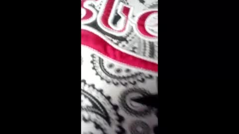 Snapshot of bebyhardsex chatting on March 17, 2026, 2:09 pm bebyhardsex online show from March 17, 2026, 2:09 pm