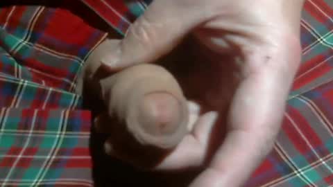  Reservoir Dogs online show from March 2, 2026, 4:36 am