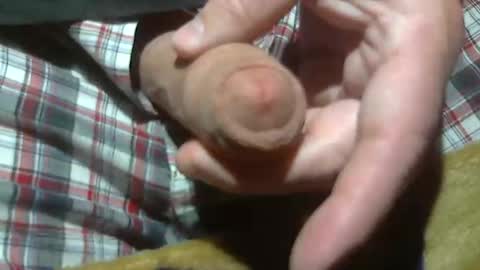  Reservoir Dogs online show from March 21, 2026, 2:16 am