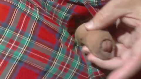  Reservoir Dogs online show from March 30, 2026, 2:23 am