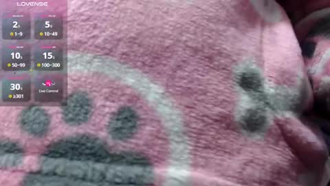 Snapshot of bekkasquirt chatting on January 1, 2025, 12:21 am bekkasquirt online show from January 1, 2025, 12:21 am