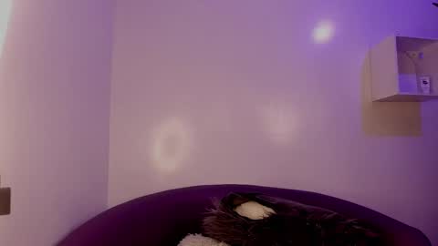 Bella online show from February 3, 2026, 4:21 am