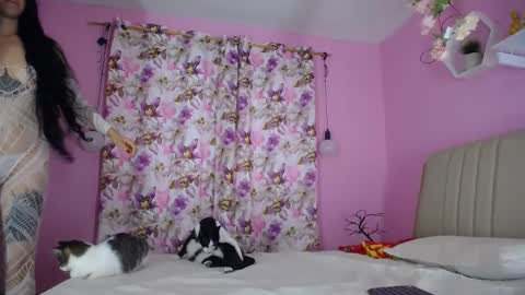 bella_gentle online show from December 20, 2024, 11:43 am