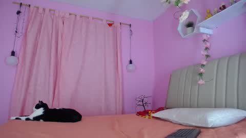 bella_gentle online show from December 31, 2024, 10:58 am