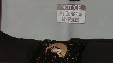 Bellaskeykeeper online show from February 21, 2026, 8:37 am