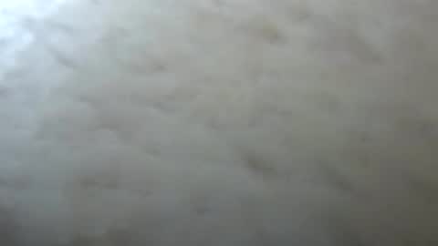 Snapshot of belle_ley chatting on April 13, 2026, 3:01 am Jack online show from April 13, 2026, 3:01 am