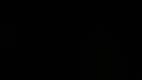 belmontxx online show from September 29, 2025, 5:51 pm
