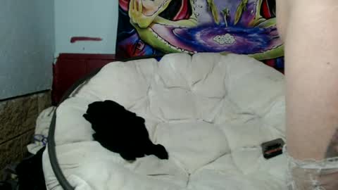 Snapshot of bentbunny21 chatting on July 8, 2026, 3:00 am Bent Bunny online show from July 8, 2026, 3:00 am