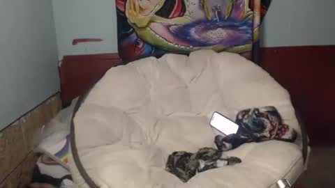 Snapshot of bentbunny21 chatting on July 22, 2026, 2:53 pm Bent Bunny online show from July 22, 2026, 2:53 pm