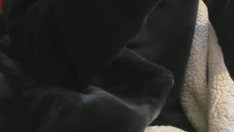 Snapshot of benx12123 chatting on February 16, 2025, 6:21 pm benx12123 online show from February 16, 2025, 6:21 pm