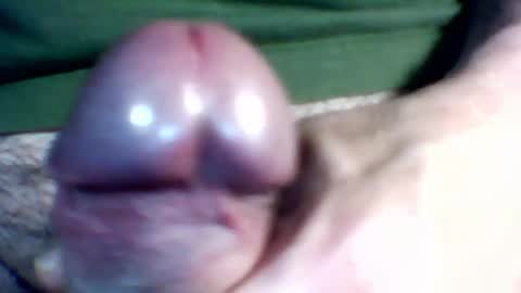 Snapshot of bersekbek chatting on May 12, 2026, 12:19 am bersekbek online show from May 12, 2026, 12:19 am