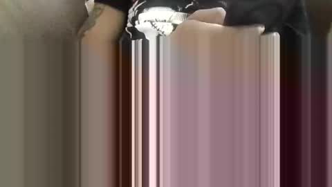 ToxicPipe757 online show from May 5, 2026, 4:04 pm