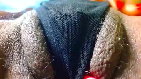 Bethany Wilson online show from December 17, 2025, 2:12 pm