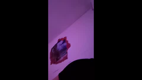 Snapshot of bgiamba21 chatting on February 7, 2026, 10:19 am bgiamba21 online show from February 7, 2026, 10:19 am