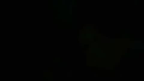 biancasteel online show from July 14, 2026, 1:08 am