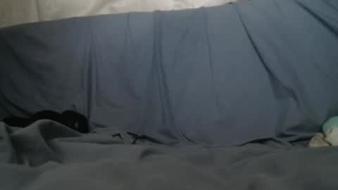 Snapshot of bigausguy chatting on December 30, 2024, 7:00 pm JaymanTHIC online show from December 30, 2024, 7:00 pm