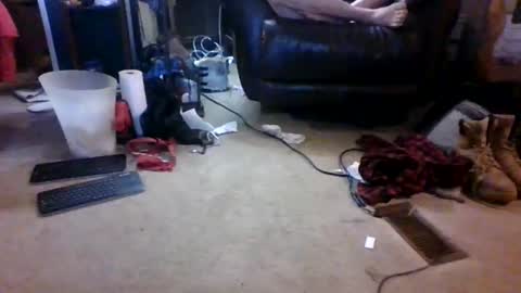 BB online show from March 17, 2026, 12:59 am