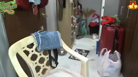 bigboobslyn online show from December 17, 2025, 6:19 am