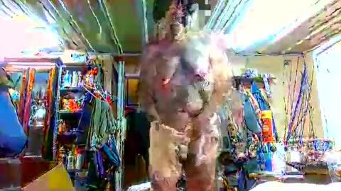 bigboy_604630544 online show from September 28, 2025, 1:16 pm