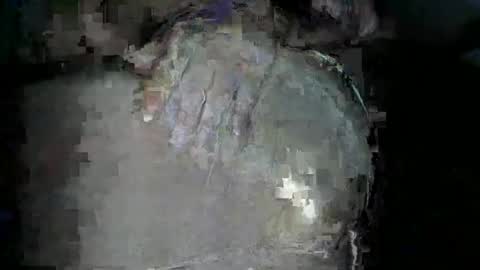 bigboybigbutt69 online show from November 15, 2025, 12:02 pm