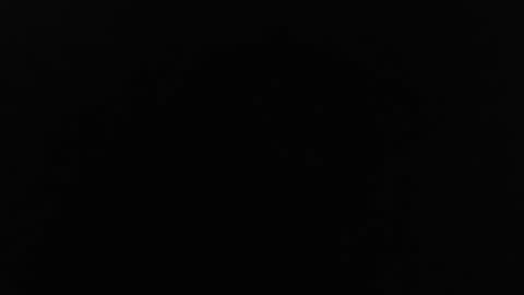 Jinn online show from December 24, 2024, 11:33 pm