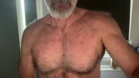 Snapshot of bigbush1 chatting on March 21, 2026, 9:29 pm big bush online show from March 21, 2026, 9:29 pm