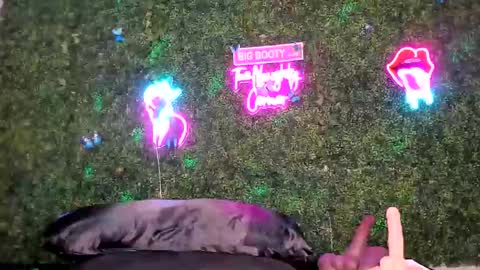 bigbuttsarena online show from May 2, 2026, 12:26 am