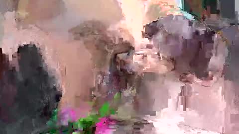 Artura online show from December 18, 2024, 7:19 pm