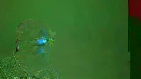 TheSexDistrict online show from December 22, 2024, 5:12 am