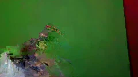 TheSexDistrict online show from December 25, 2024, 1:31 am