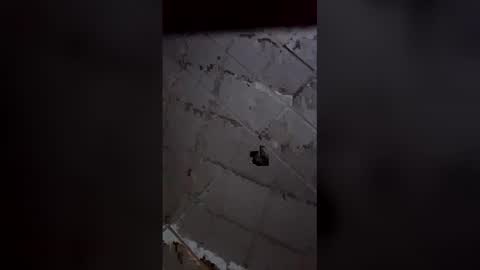 bigcummerbigcock online show from February 28, 2026, 4:57 am