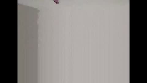 Snapshot of bigd23994 chatting on March 29, 2026, 7:52 am bigd23994 online show from March 29, 2026, 7:52 am