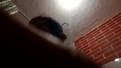 BigDaddykodack online show from October 28, 2025, 9:24 am