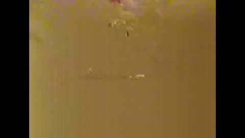 Snapshot of bigdaddydongarlets391292 chatting on October 17, 2025, 8:06 am bigdaddydongarlets391292 online show from October 17, 2025, 8:06 am