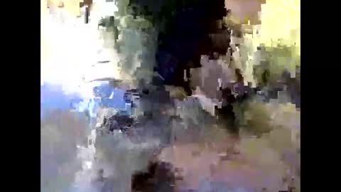 Snapshot of bigdaddydongarlets391292 chatting on October 24, 2025, 9:17 am bigdaddydongarlets391292 online show from October 24, 2025, 9:17 am