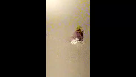 bigdaddydongarlets391292 online show from February 13, 2026, 10:44 am