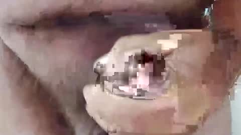 bigdforfun2nite online show from October 15, 2025, 11:16 pm