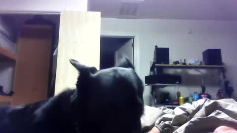 bigdickdaddy7201979564868 online show from June 19, 2026, 6:40 am