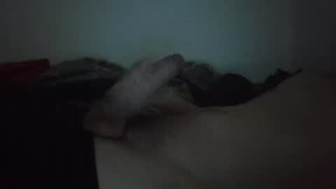 bigdickenergy2220 online show from December 3, 2024, 9:01 pm