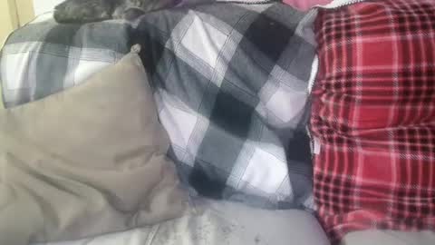 Snapshot of bigdicktrannynicole chatting on January 29, 2025, 12:56 pm bigdicktrannynicole online show from January 29, 2025, 12:56 pm