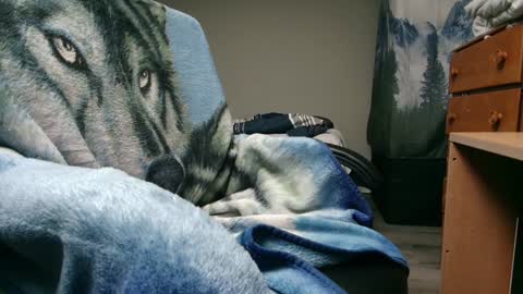 Snapshot of bigdickyduby chatting on December 9, 2024, 5:40 am George Forest Dickyduby on all Socials online show from December 9, 2024, 5:40 am