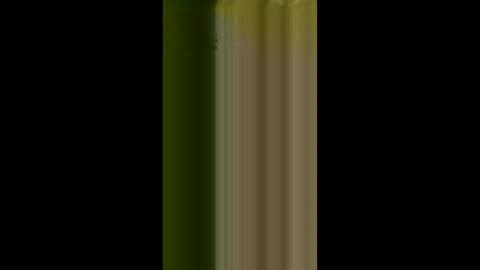 bigdog9thick online show from April 3, 2026, 11:41 am