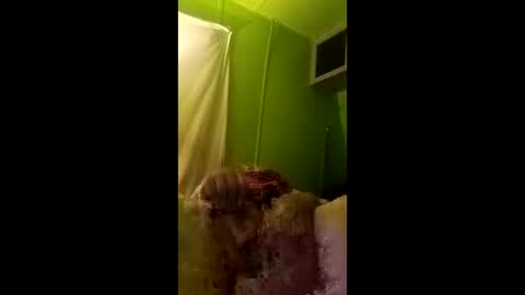 bigdog9thick online show from April 29, 2026, 7:23 am