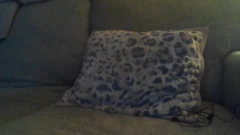 bigdt444420 online show from November 17, 2025, 5:13 am