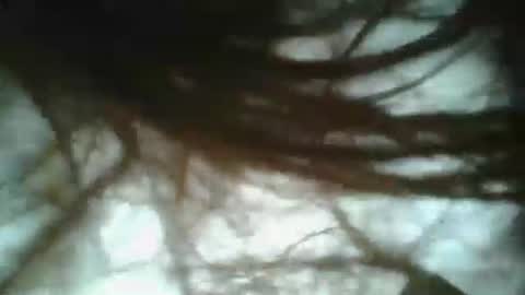 daddy online show from January 19, 2025, 3:42 pm