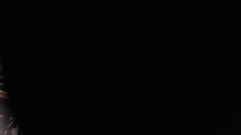 BigJohnOfTheWoods online show from January 24, 2025, 9:47 pm