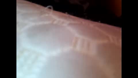 bigloggzz online show from January 8, 2025, 7:55 am